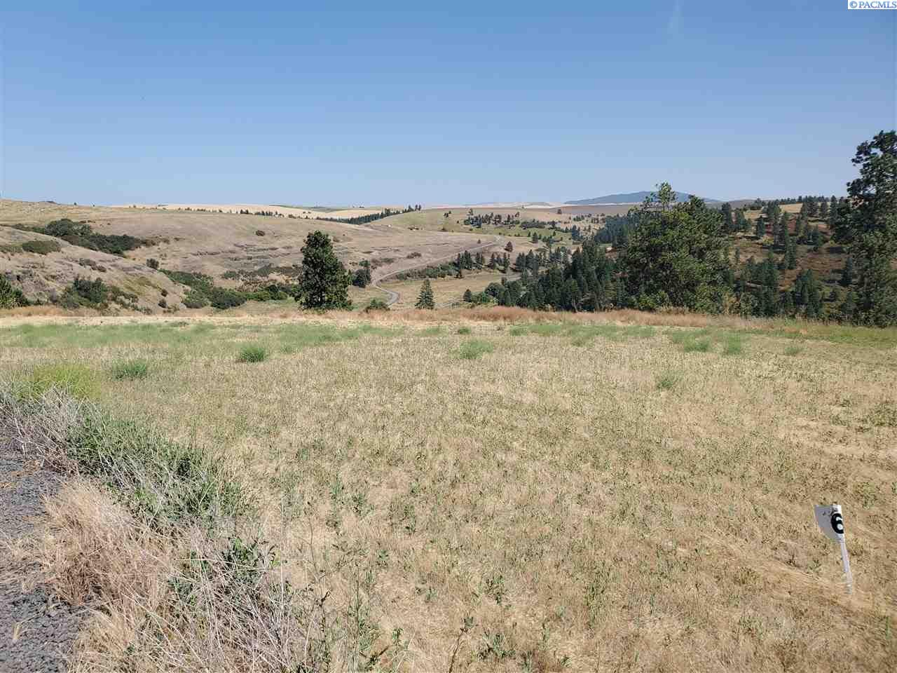 Lot 6 Red Tail Ridge Colfax, WA 99111 - Photo 1 of 1 Gallery Image 1