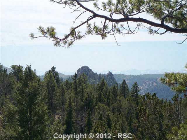 97 Paradiso Road Divide, CO 80814 - Photo 2 of 15