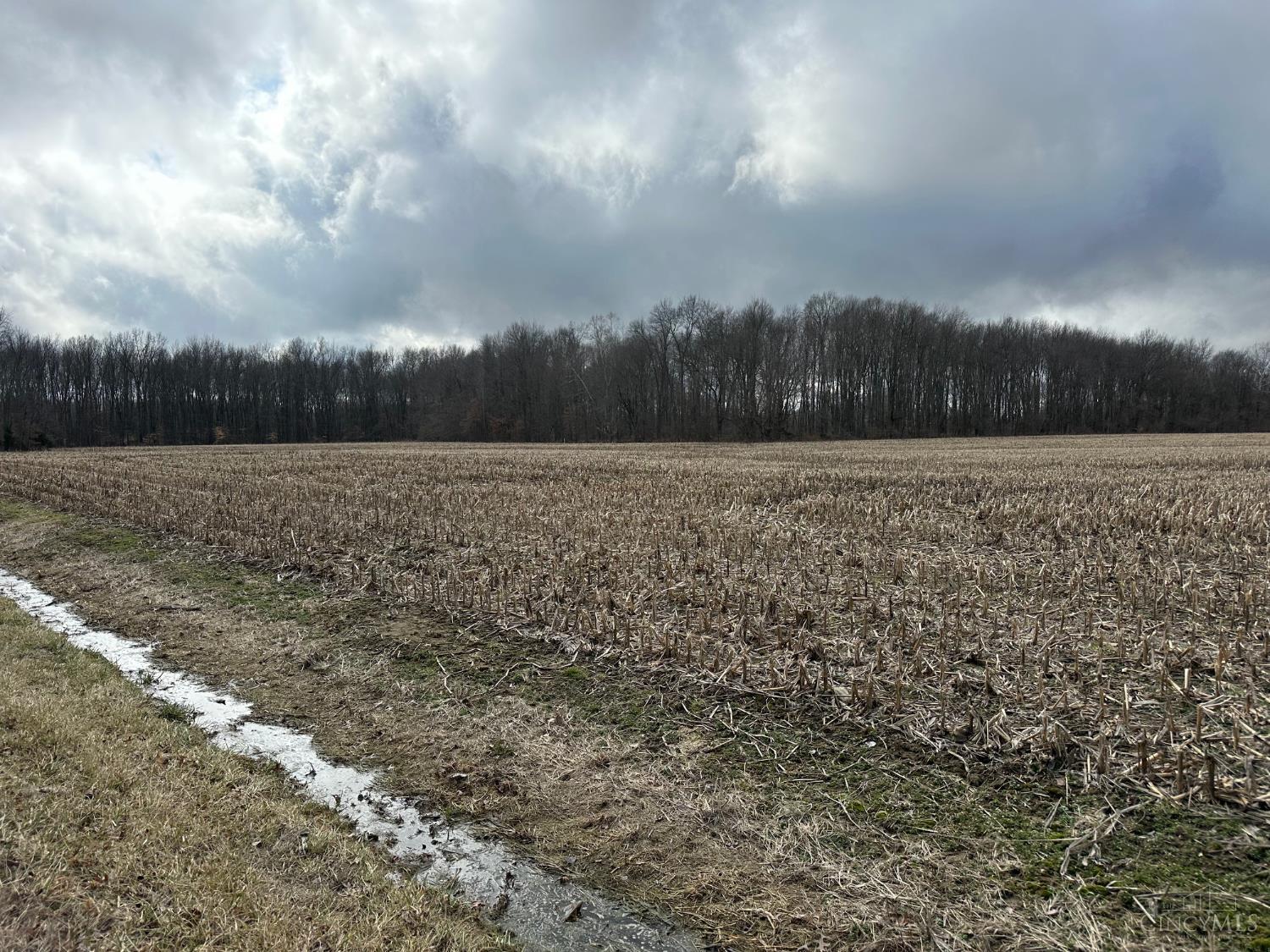 5-acres Goodwin Schoolhouse Pt Isabel Road Bethel, OH 45106 - Photo 2 of 4
