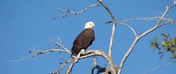 $3,500 | 156 Southwest Peacock Boulevard, Unit 29202, St. Lucie West, FL 34986