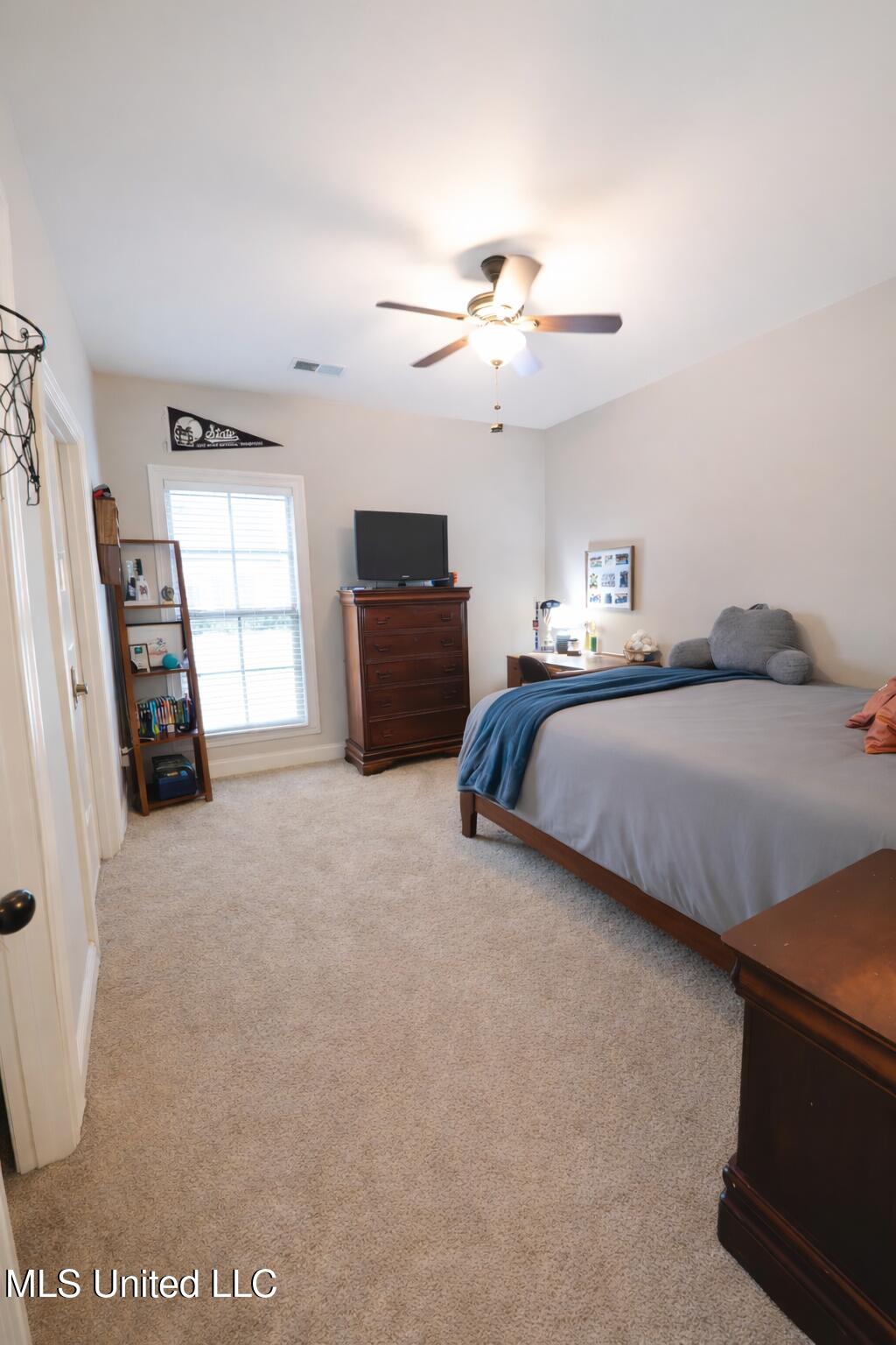 4183 Robinson Crossing Olive Branch, MS 38654 - Photo 21 of 24 image00021