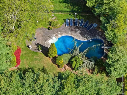 a view of backyard with table and chairs plants and large trees