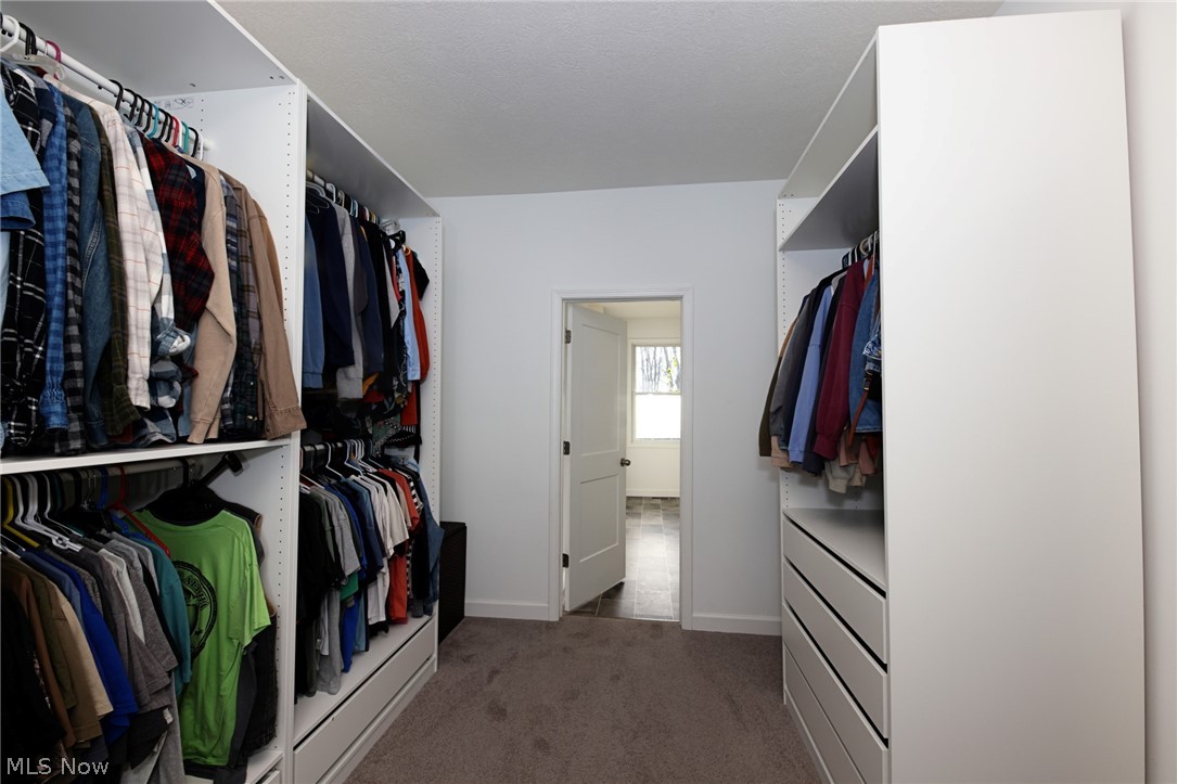 258 Friendly Acres Road Wellsburg, WV 26070 - Photo 12 of 47 Primary bedroom Walk in closet with dark carpet
