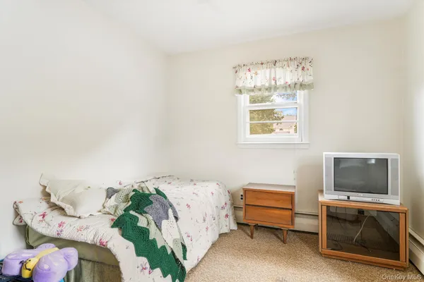 a bedroom with a bed and a television