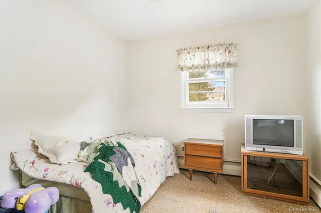 a bedroom with a bed and a television