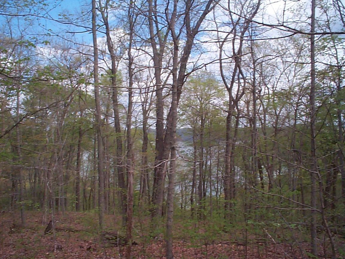 17 Bobcat Road Salt Lick, KY 40371 - Photo 1 of 3 Photo 1