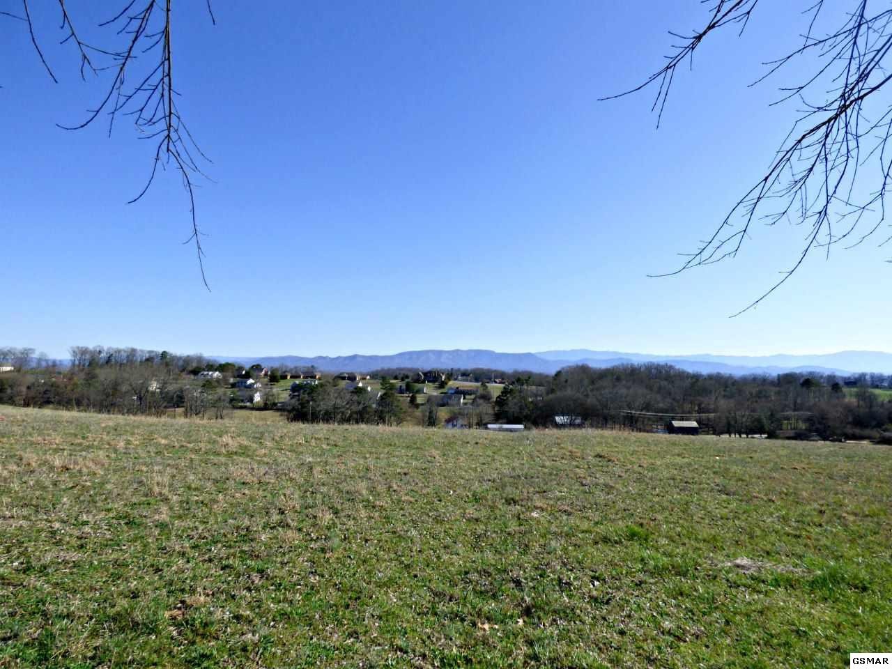 6 Valley Home Road Dandridge, TN 37725 - Photo 14 of 22 Gallery Image 14