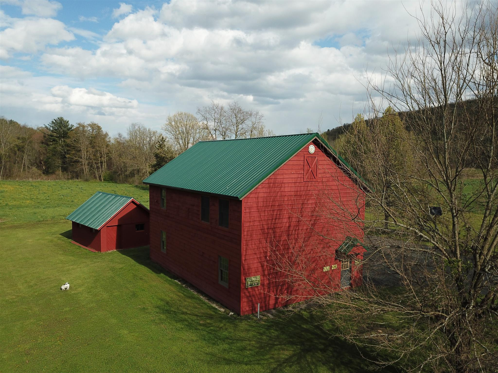 508 Biers Road Coeymans, NY 12158 - Photo 43 of 59 Photo 43