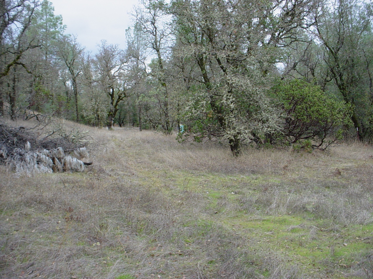 17295 Rolling Ridge Road Cottonwood, CA 96022 - Photo 1 of 7 Beautiful Country