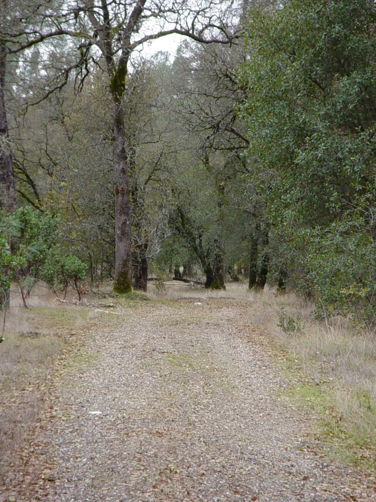 17295 Rolling Ridge Road Cottonwood, CA 96022 - Photo 2 of 7 Nice wooded area