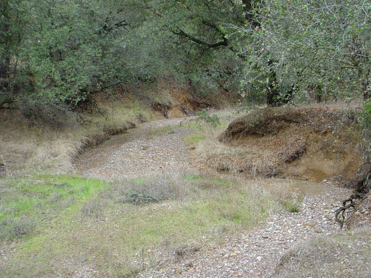 17295 Rolling Ridge Road Cottonwood, CA 96022 - Photo 4 of 7 Seasonal Creek