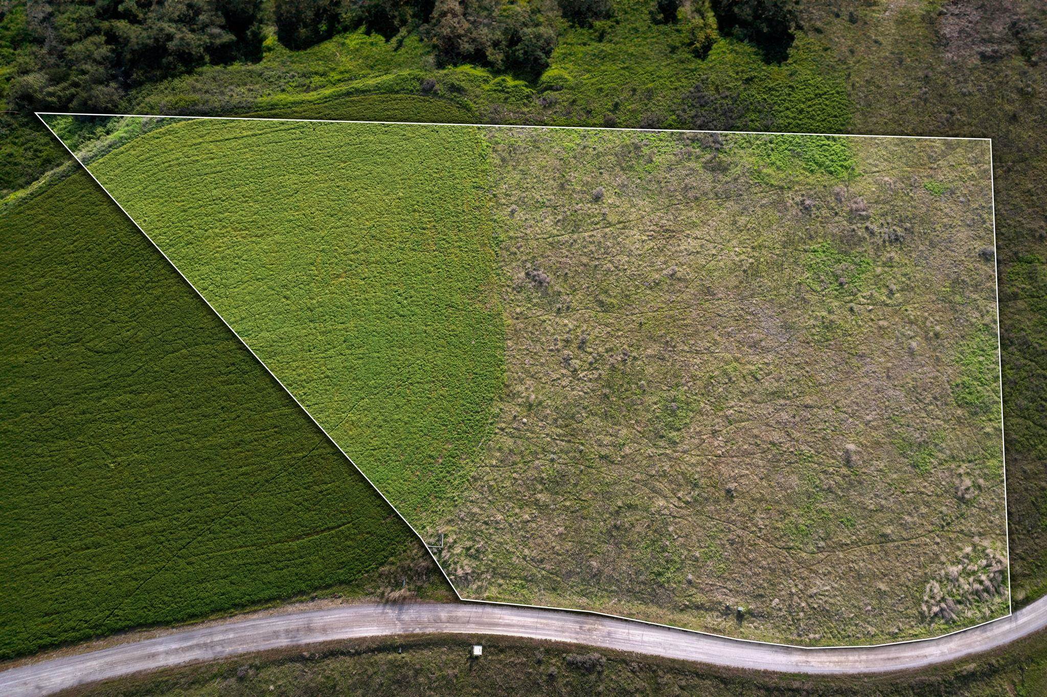 5216T Lantzy Road Hunters, WA 99137 - Photo 6 of 8 Gallery Image 6