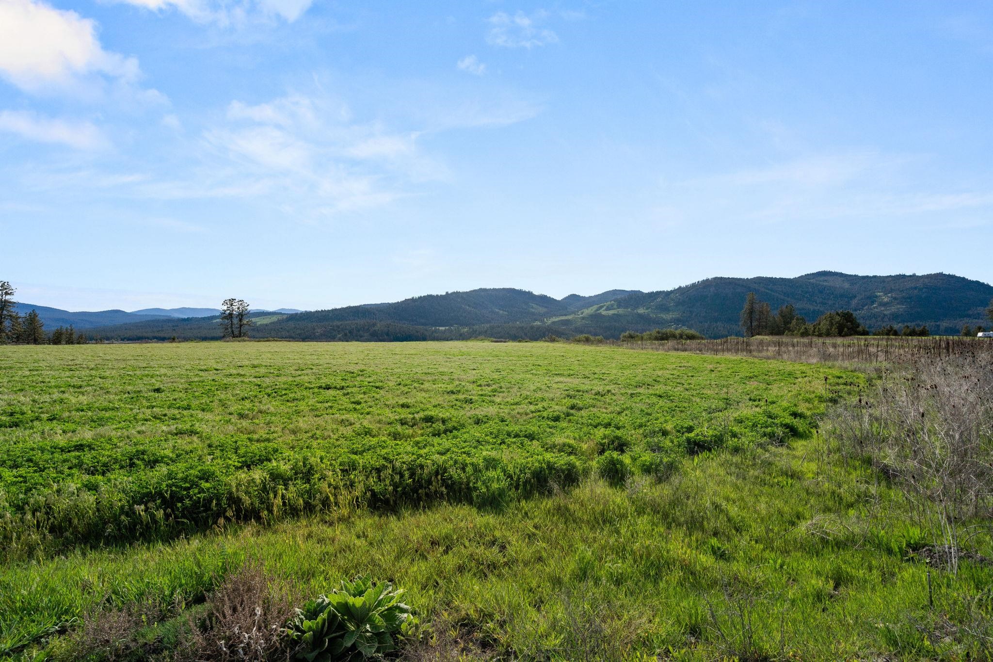 5216T Lantzy Road Hunters, WA 99137 - Photo 7 of 8 Gallery Image 7