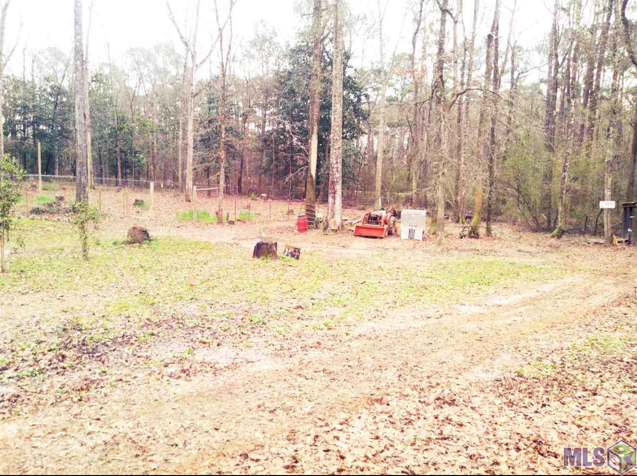 7405 Smith Road Clinton, LA 70722 - Photo 3 of 10 Gallery Image 3