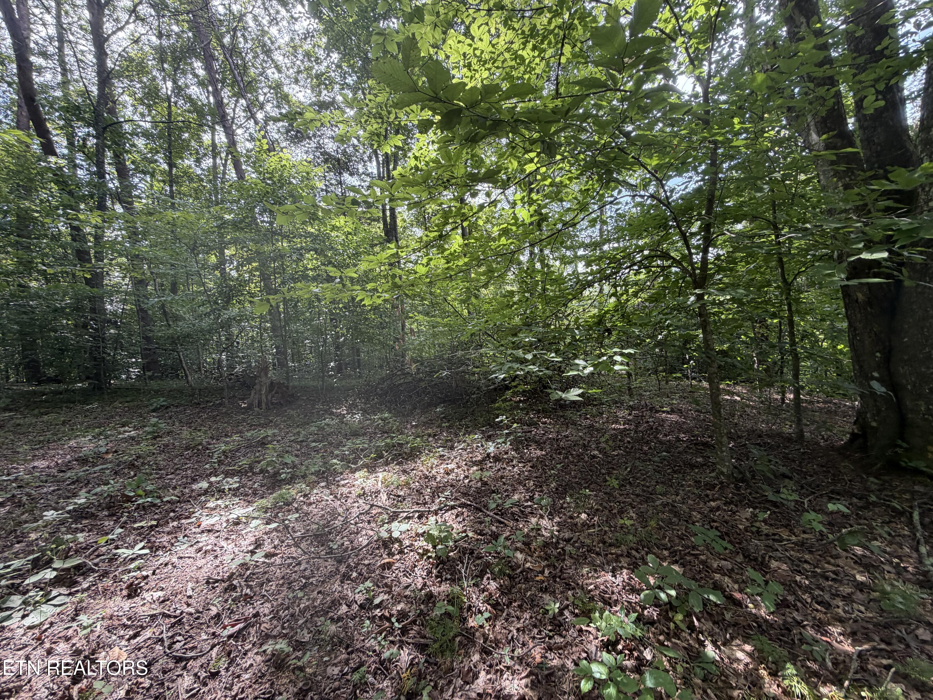 2544 Hinds Creek Road Heiskell, TN 37754 - Photo 17 of 27 IMG_0426