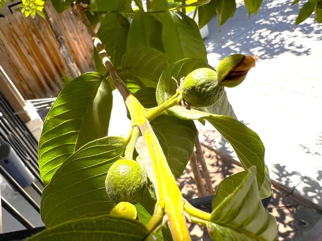 a view of a indoor basketball court