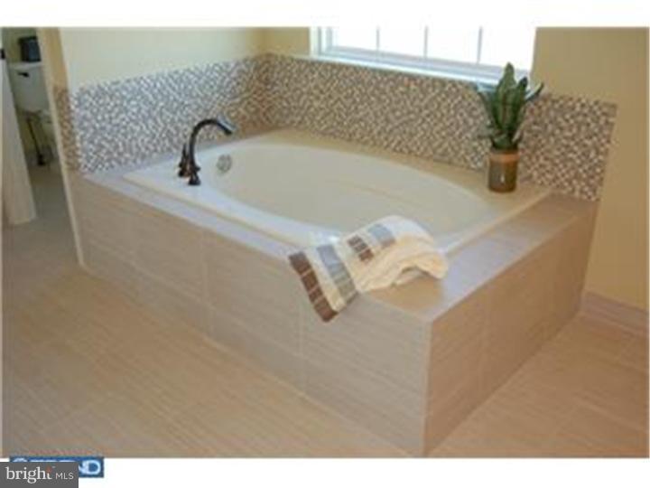 858 Cymbeline Court Mickleton, NJ 08056 - Photo 10 of 11 Master Bathroom
