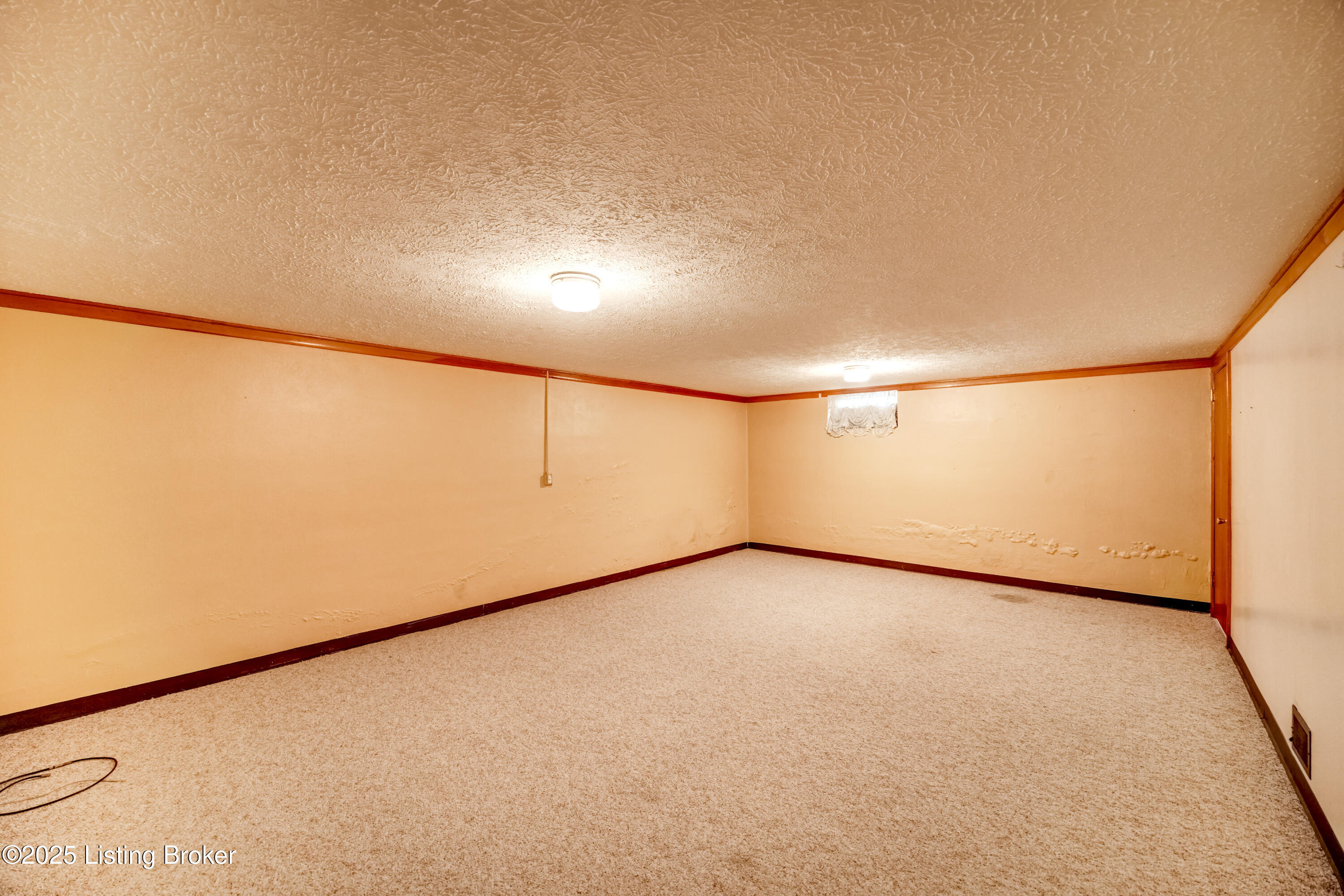 8209 Terry Road Louisville, KY 40258 - Photo 38 of 64 Large partially finished basement