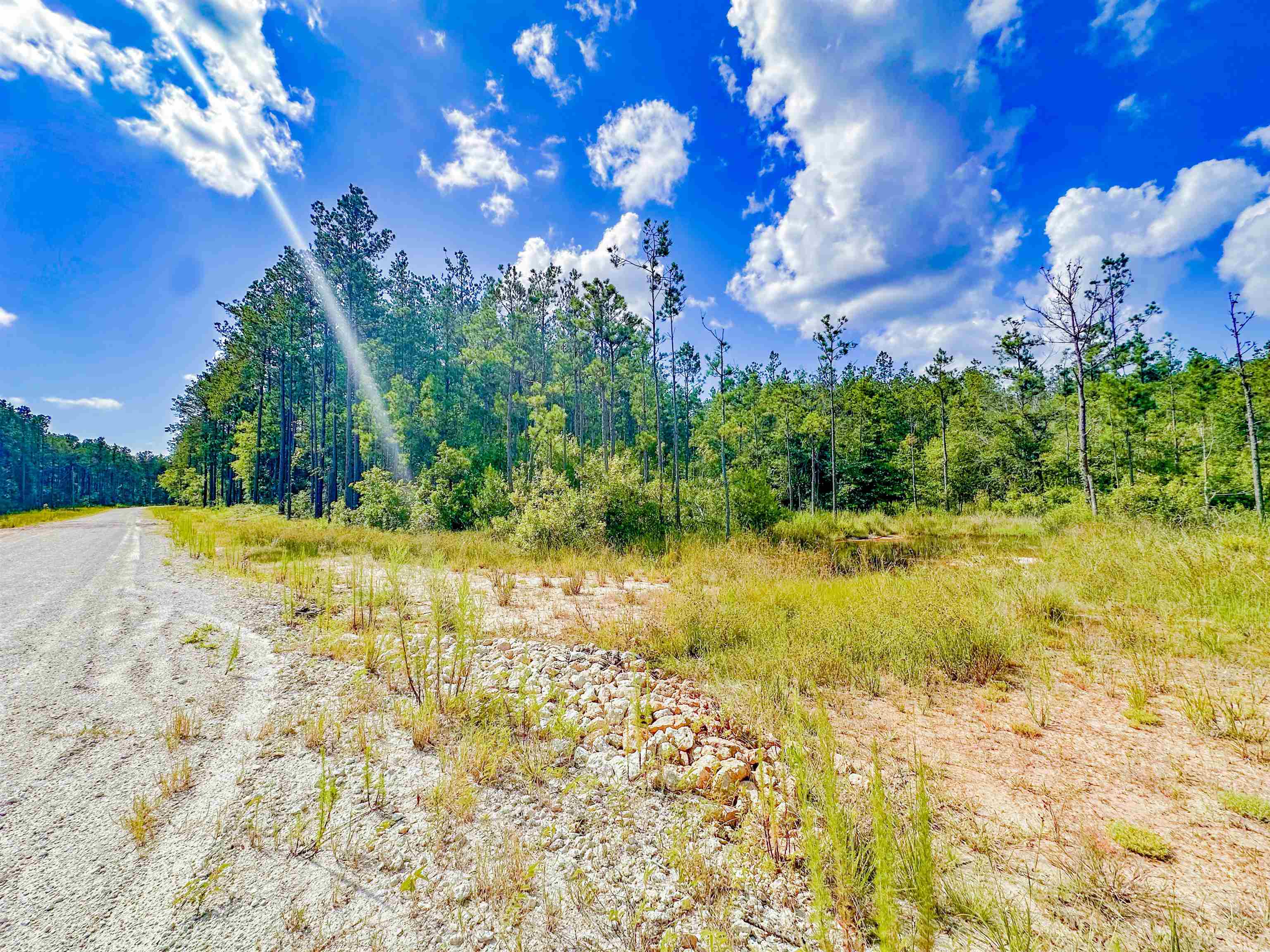 9010 Carter Ranch Road Kountze, TX 77625 - Photo 5 of 8