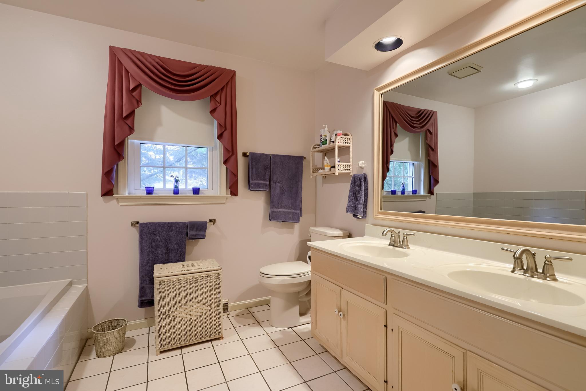 100 Olde Field Drive Lititz, PA 17543 - Photo 43 of 63 a bathroom with a sink toilet and a mirror