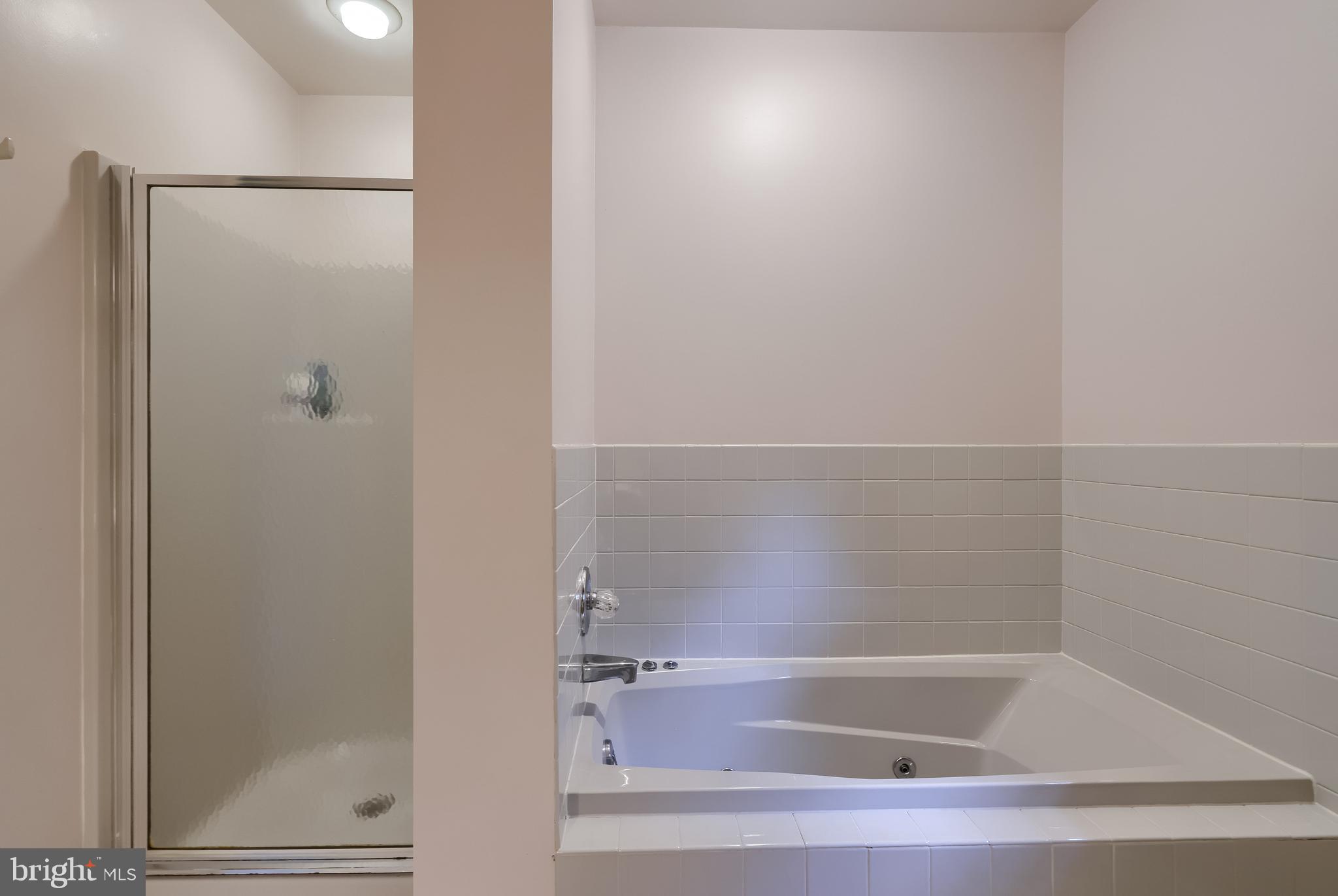 100 Olde Field Drive Lititz, PA 17543 - Photo 45 of 63 a bathroom with a bathtub