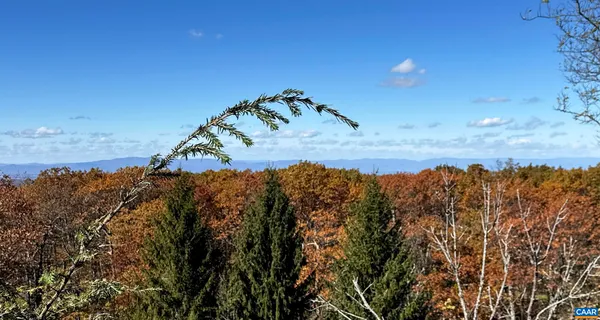 a view of a field