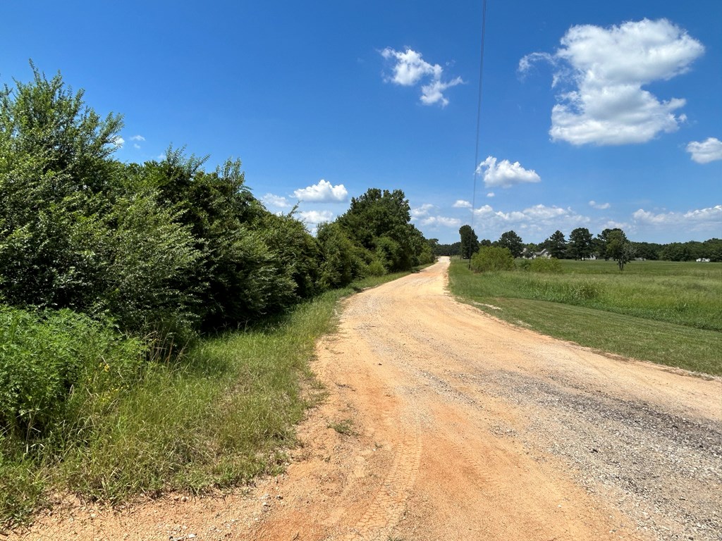 132.3-ac Green Road Dothan, AL 36303 - Photo 52 of 63