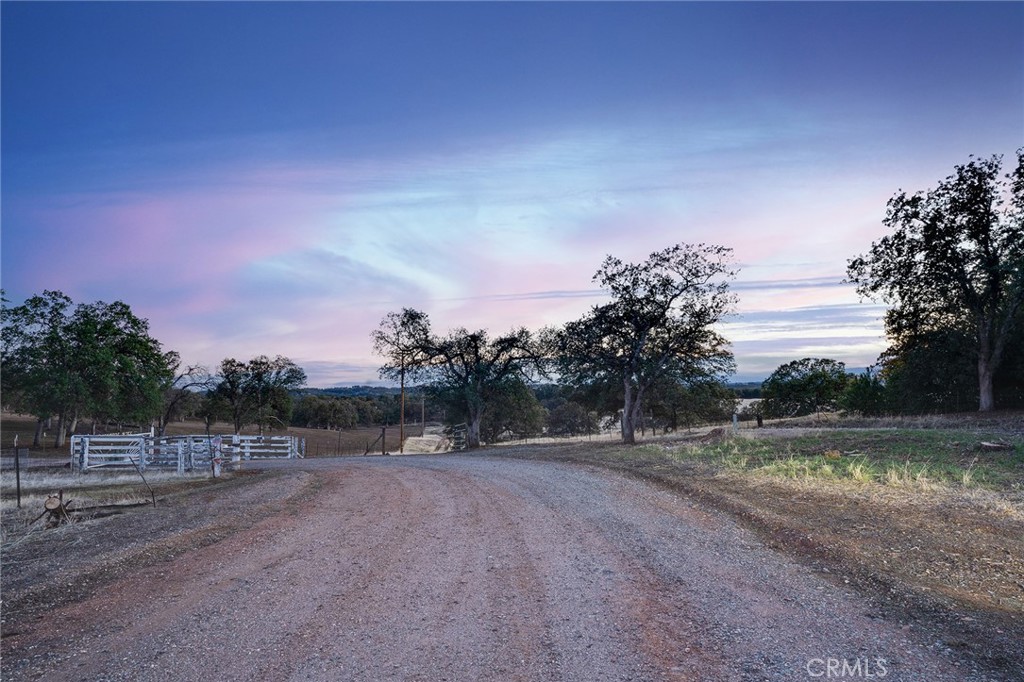 0 Burning Tree Road Red Bluff, CA 96080 - Photo 1 of 1 a view of a rural road with plants