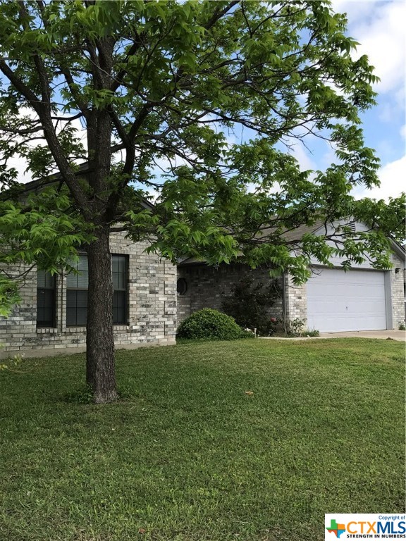 a view of a tree in front of a house