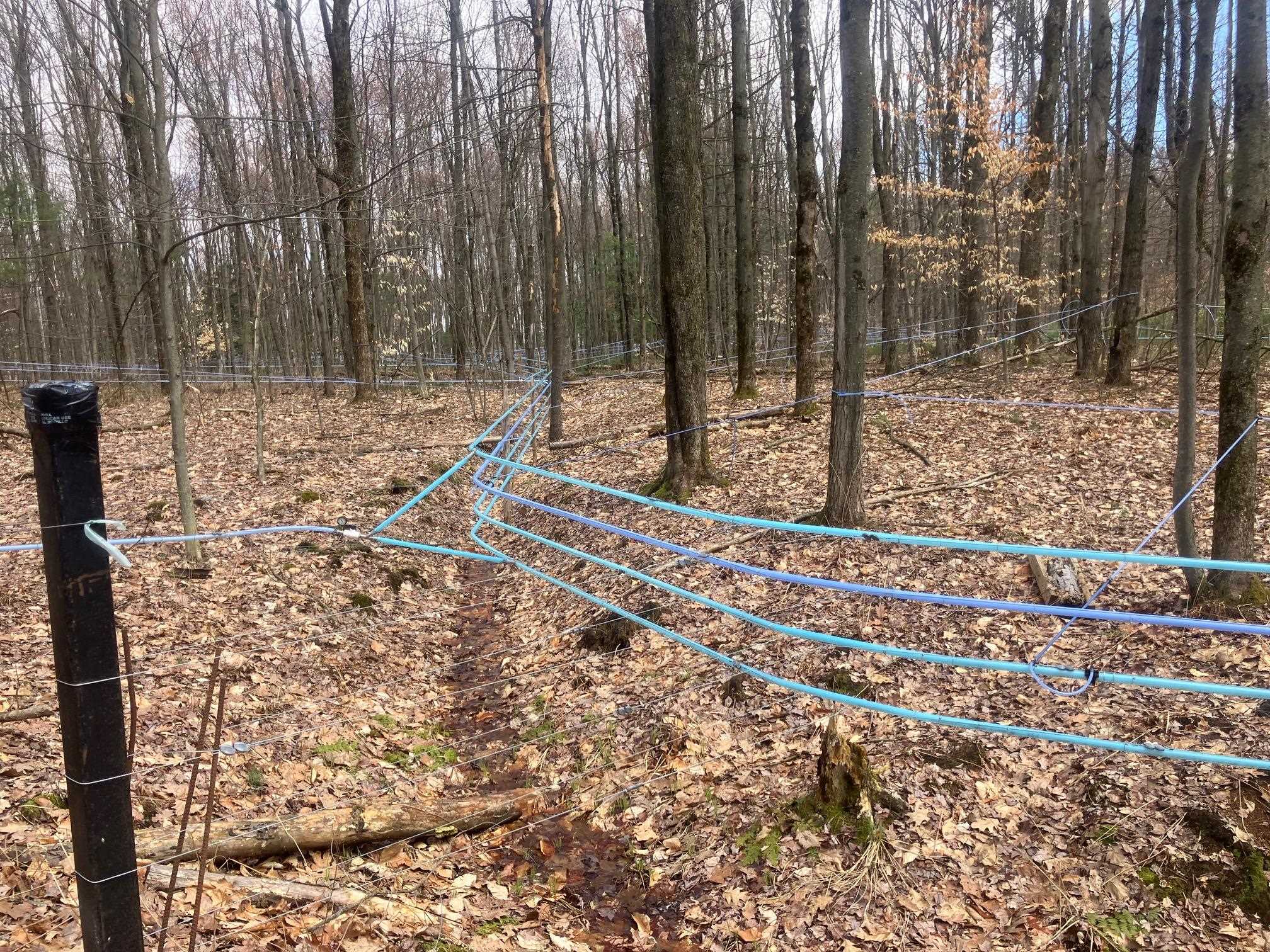 74 Jedware Circle, Unit LOT 102 Swanton, VT 05488 - Photo 10 of 15