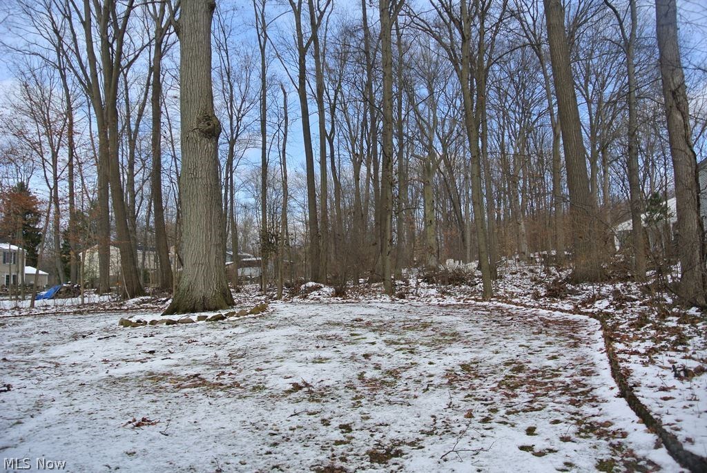 2459 Audubon Road Akron, OH 44320 - Photo 2 of 34