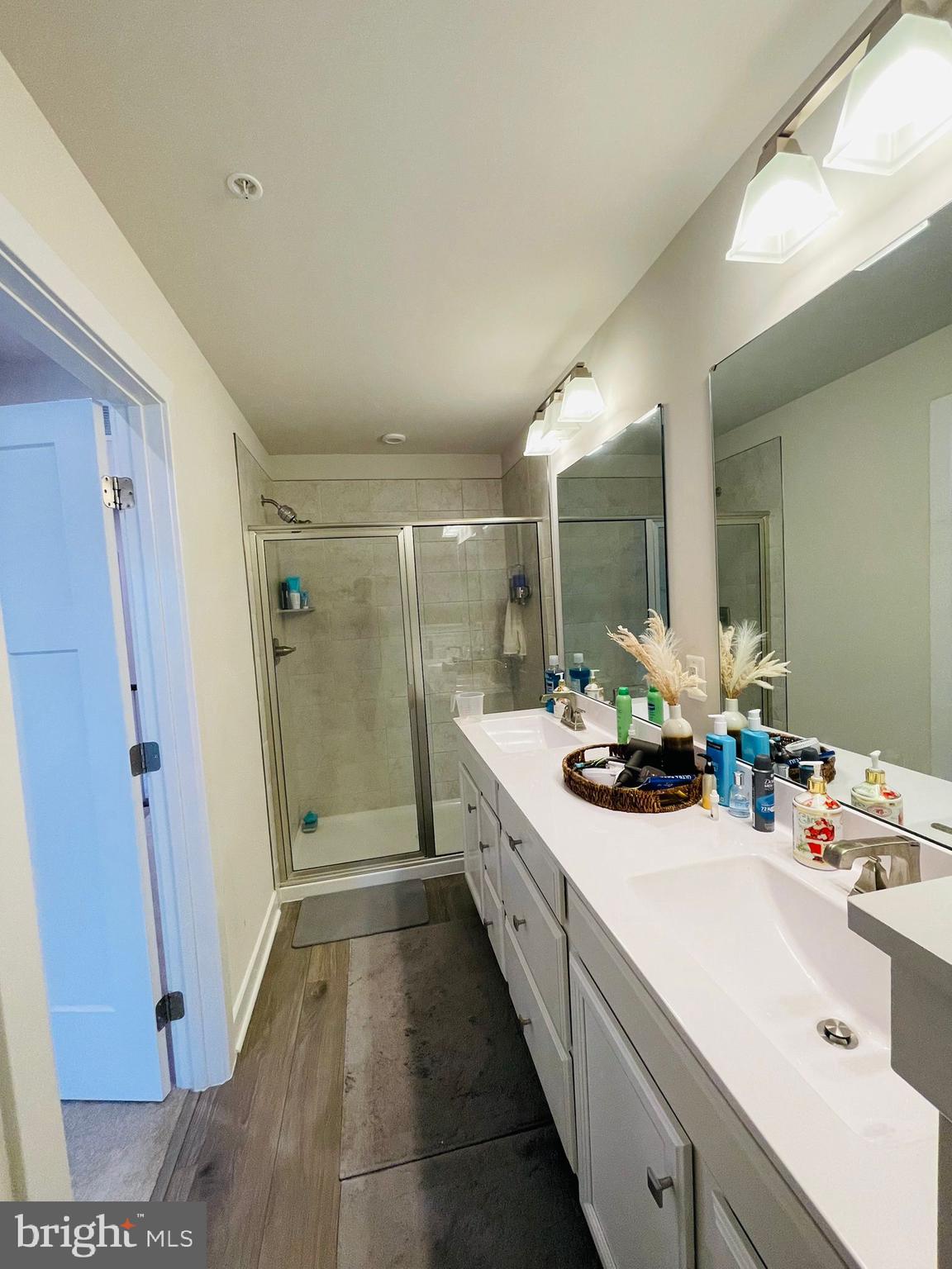 24260 Thurso Square Sterling, VA 20166 - Photo 10 of 16 a bathroom with a sink a mirror and a shower