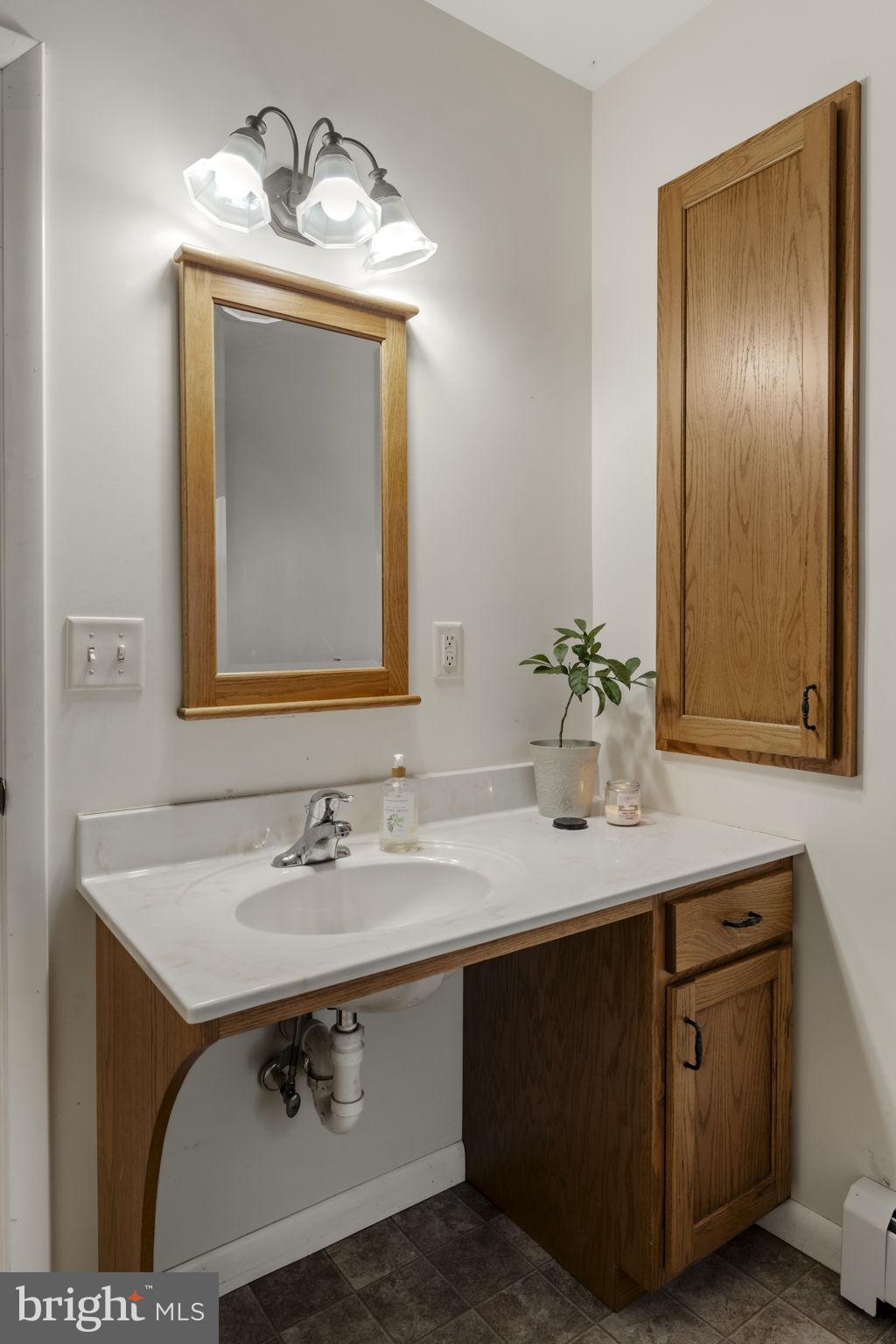 125 Indiantown Road Ephrata, PA 17522 - Photo 17 of 46 a bathroom with a sink and a mirror