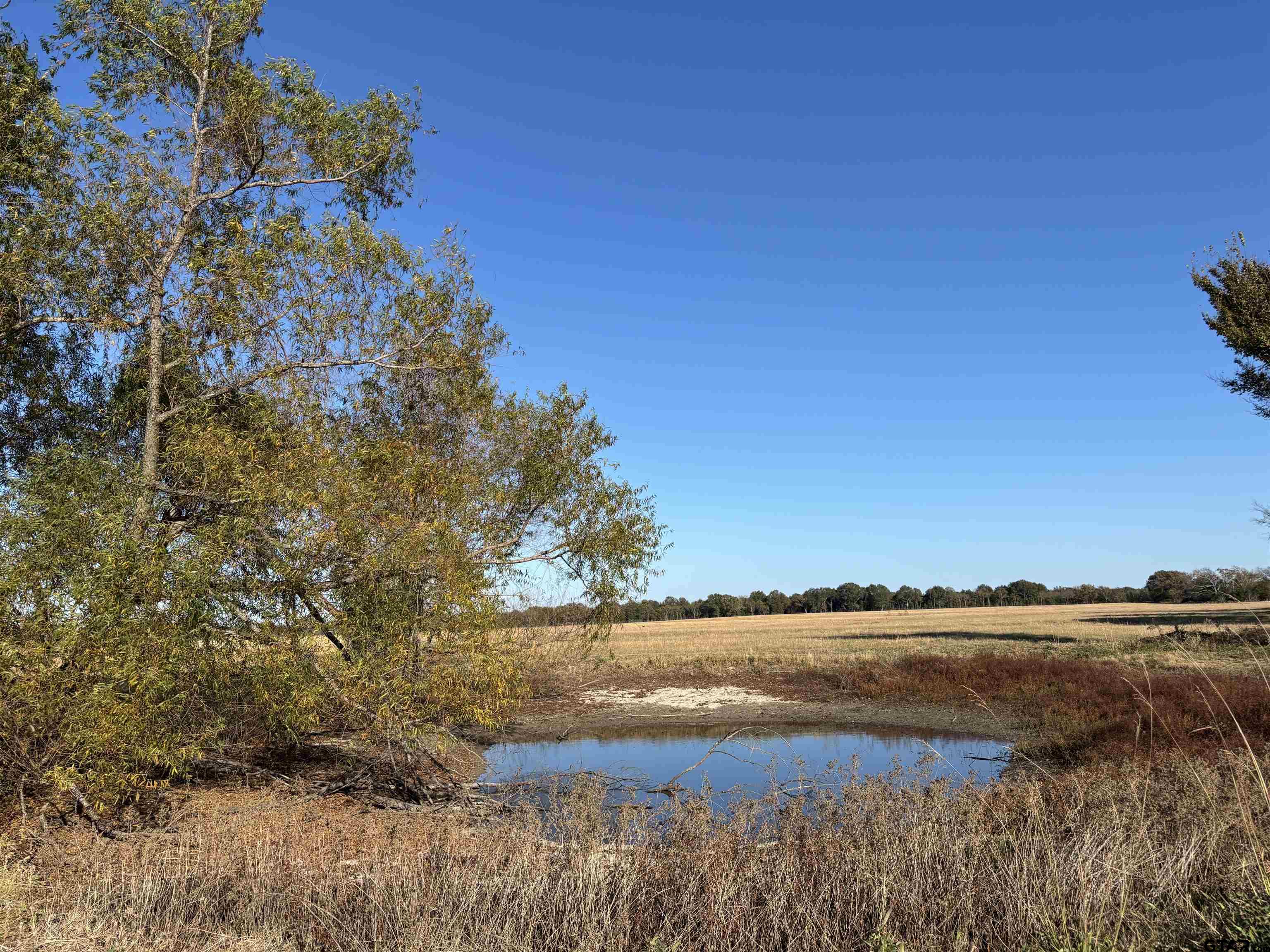 a view of lake with green space
