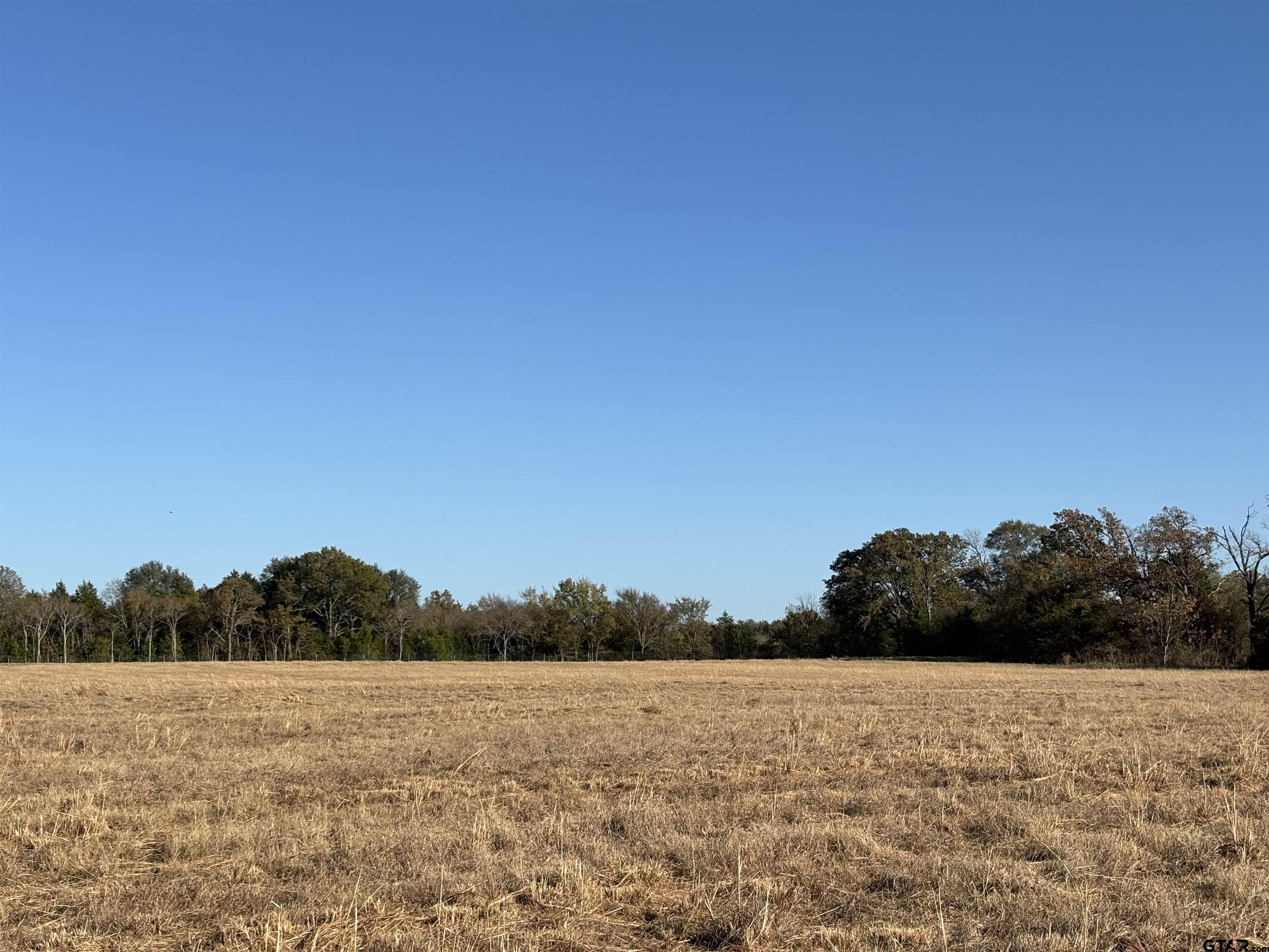 0 Fm 1653 Ben Wheeler, TX 75754 - Photo 12 of 12 a view of lake and mountain