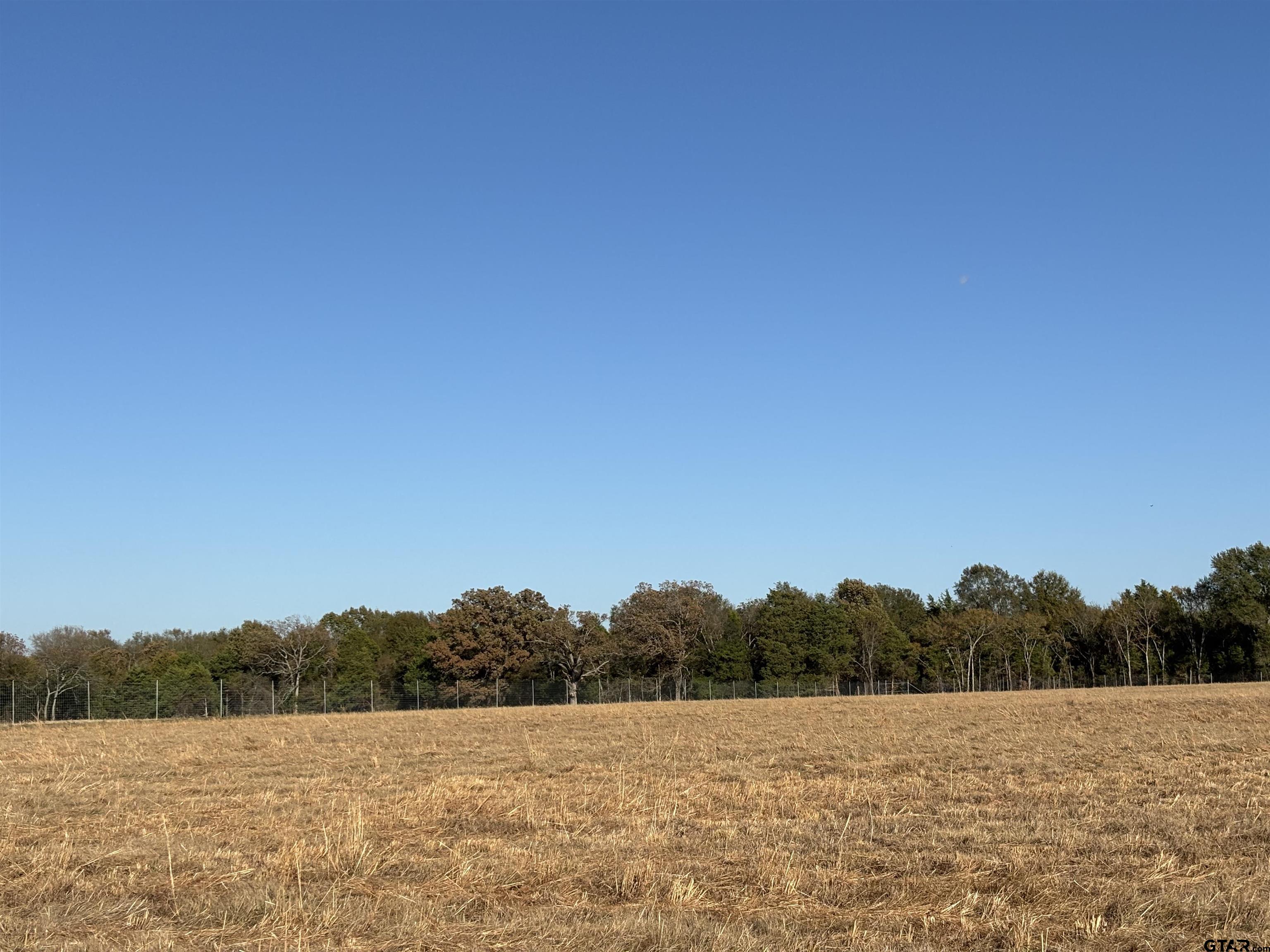 0 Fm 1653 Ben Wheeler, TX 75754 - Photo 3 of 12 a view of lake and mountain view