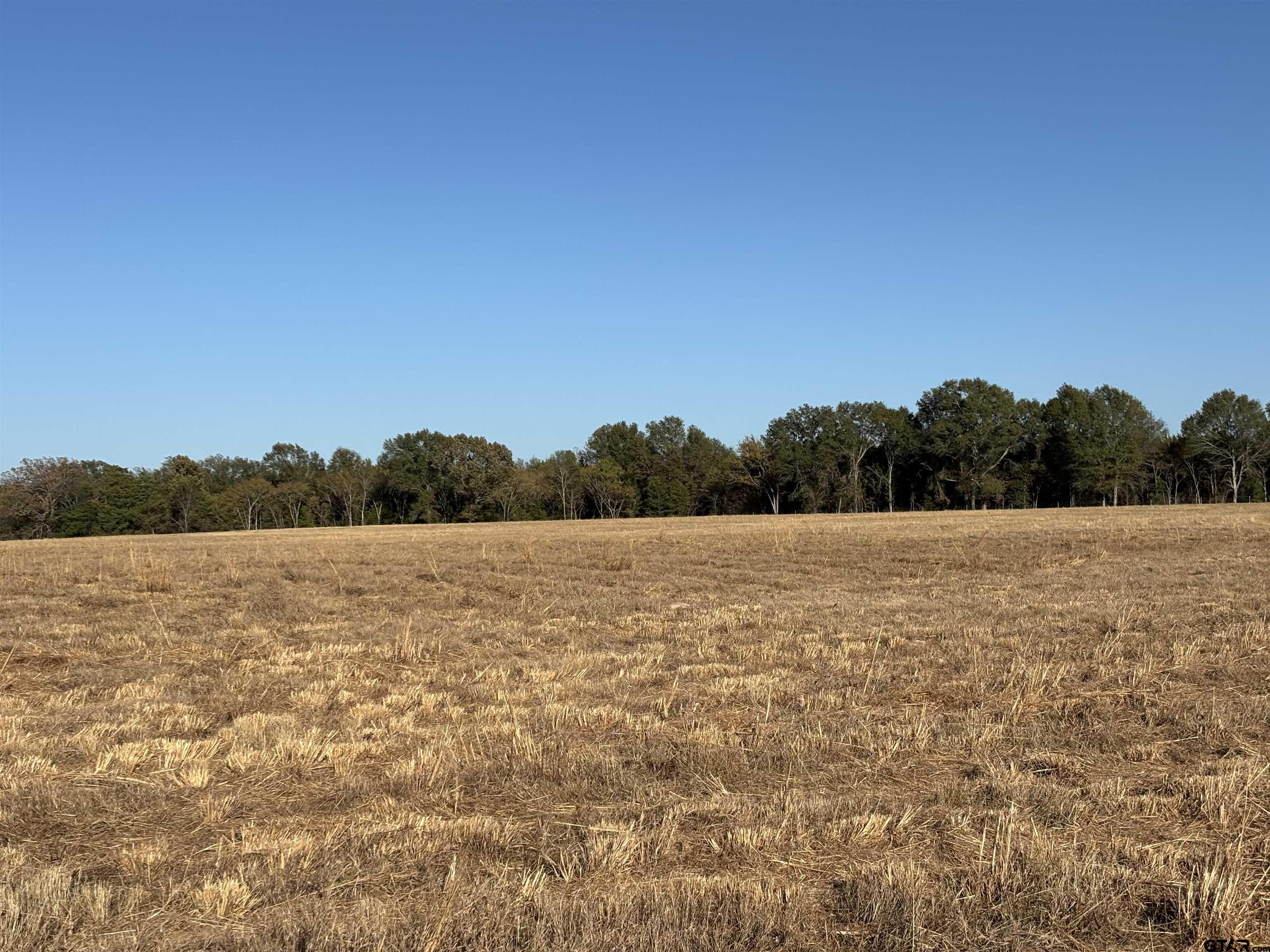 0 Fm 1653 Ben Wheeler, TX 75754 - Photo 4 of 12 a view of lake and mountain view