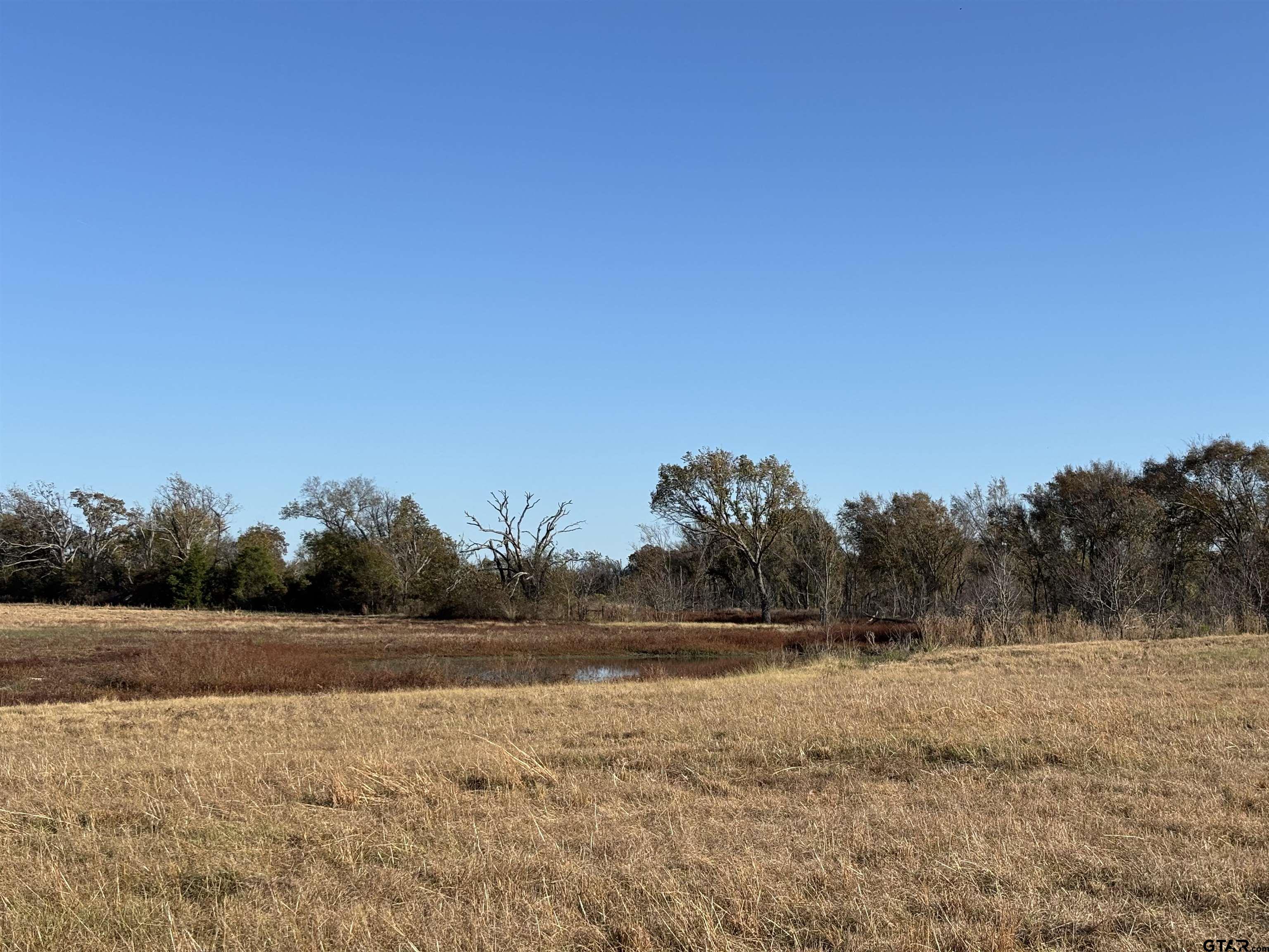 0 Fm 1653 Ben Wheeler, TX 75754 - Photo 5 of 12 a view of a field with trees in the background
