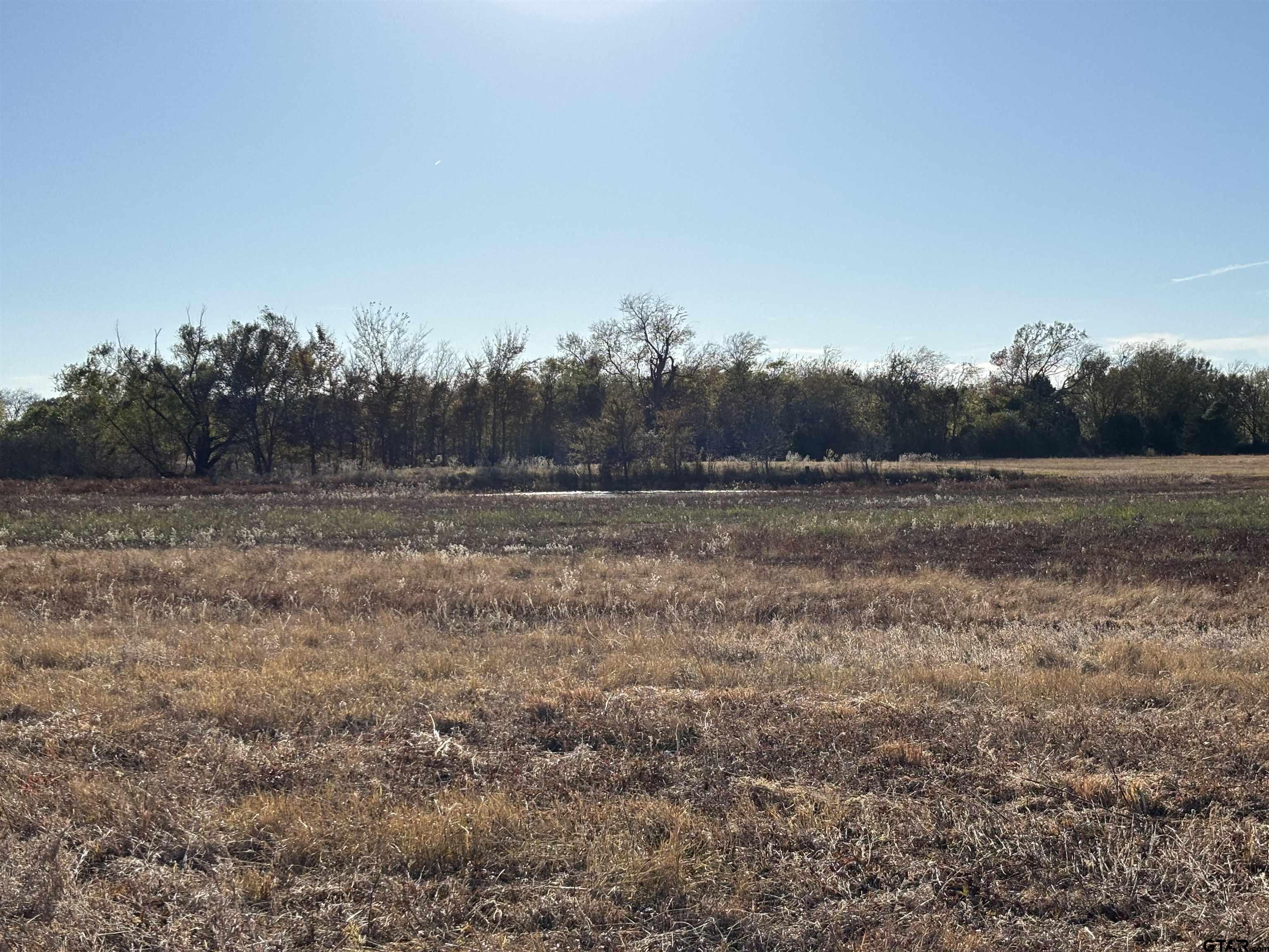 0 Fm 1653 Ben Wheeler, TX 75754 - Photo 7 of 12 a view of outdoor space and yard