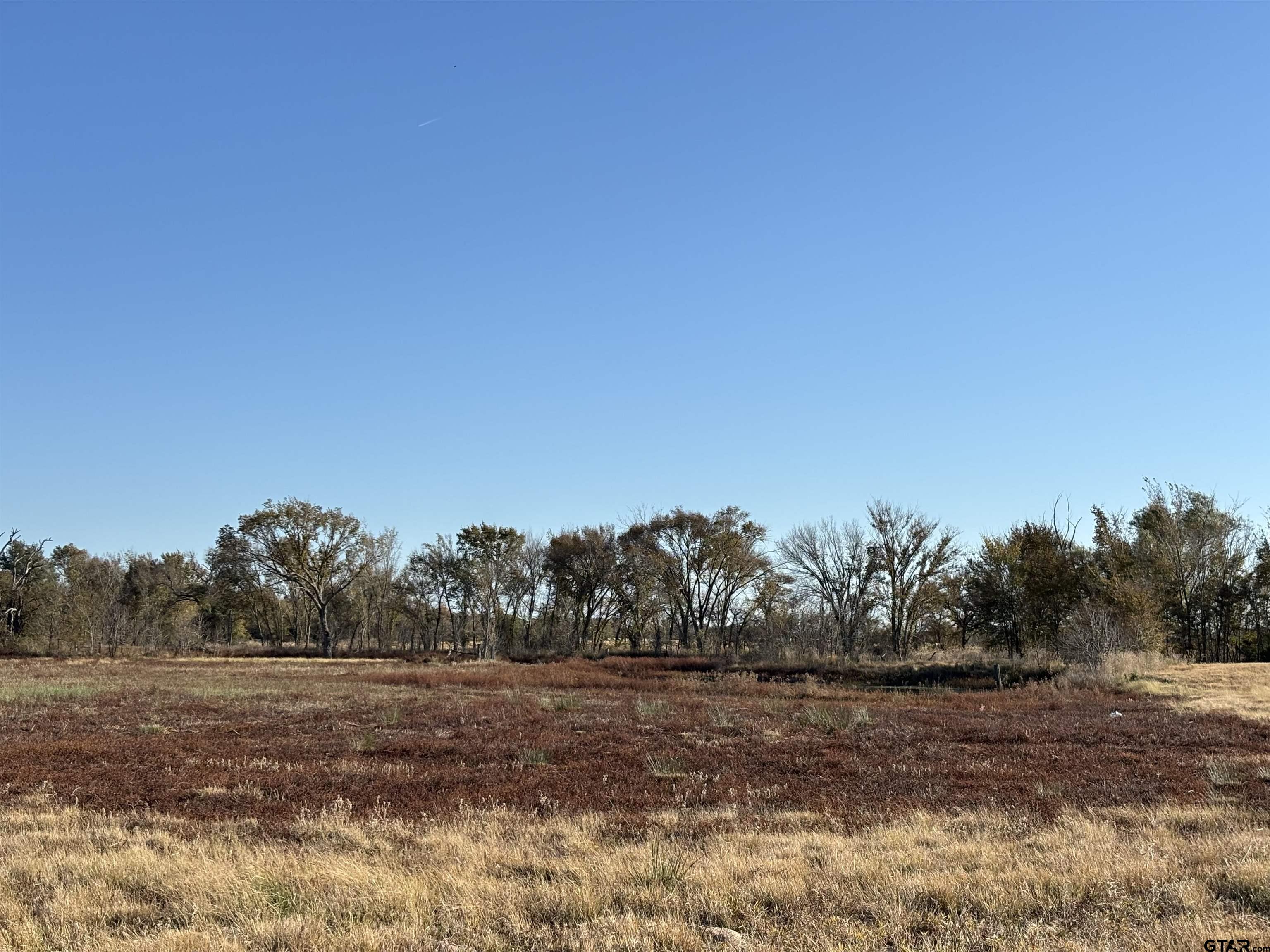 0 Fm 1653 Ben Wheeler, TX 75754 - Photo 8 of 12 a view of a field with trees in background