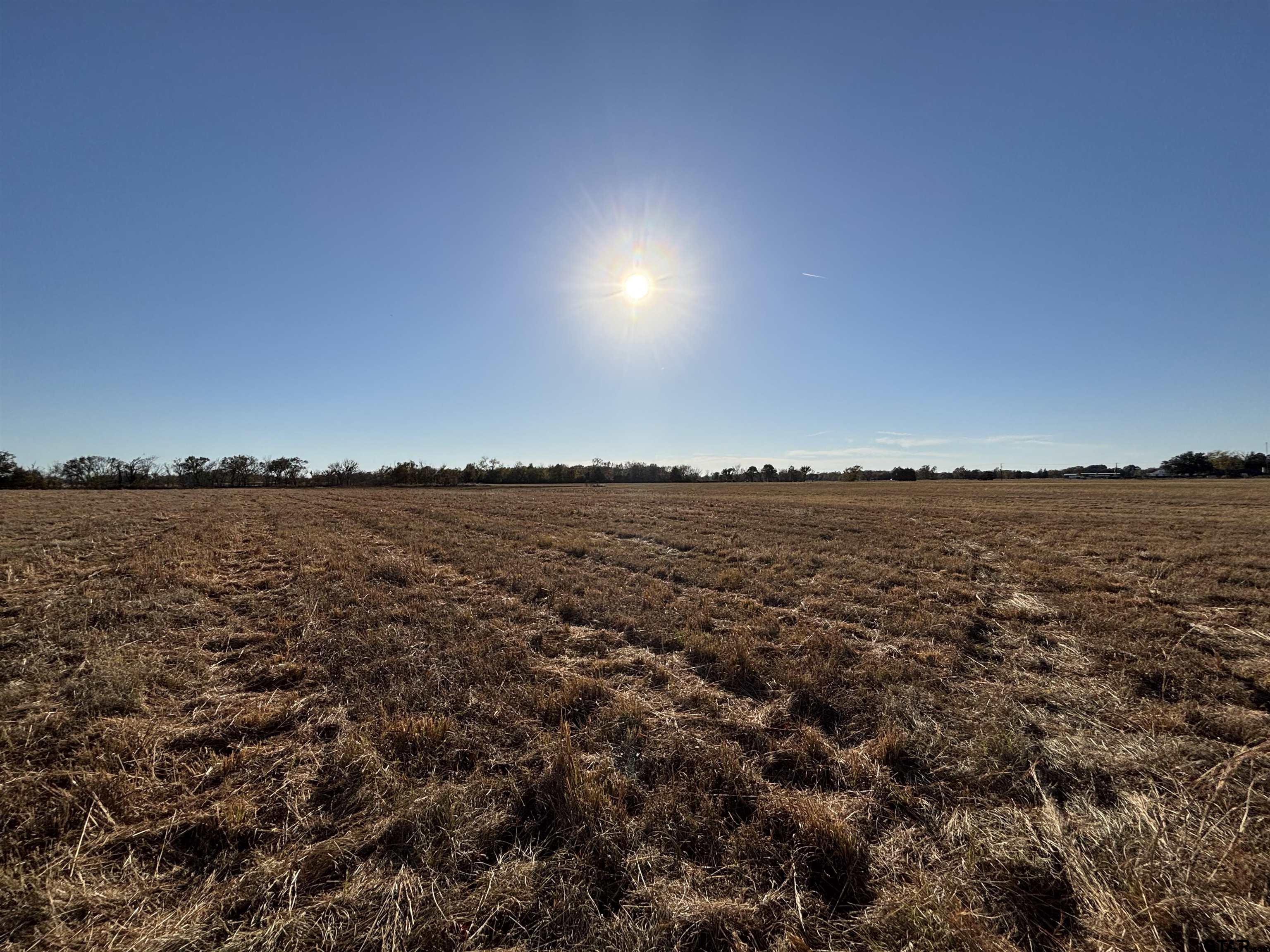 0 Fm 1653 Ben Wheeler, TX 75754 - Photo 10 of 12