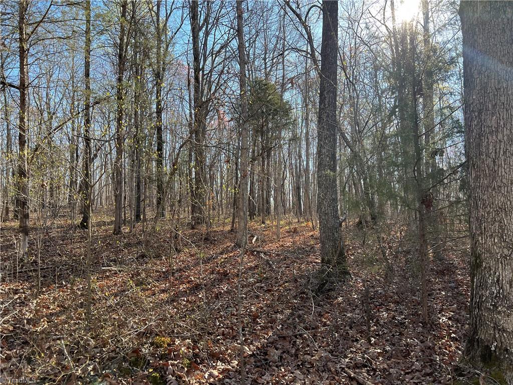 3558 Regan Road Denton, NC 27239 - Photo 1 of 5 Gallery Image 1