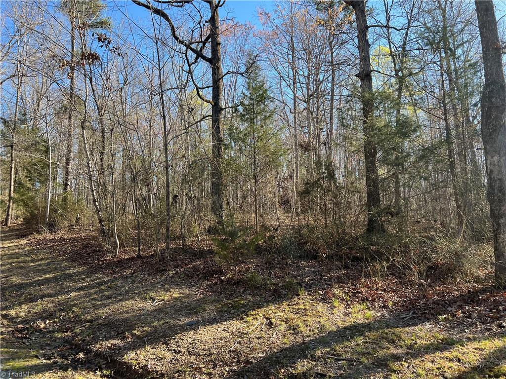 3558 Regan Road Denton, NC 27239 - Photo 2 of 5 Gallery Image 2