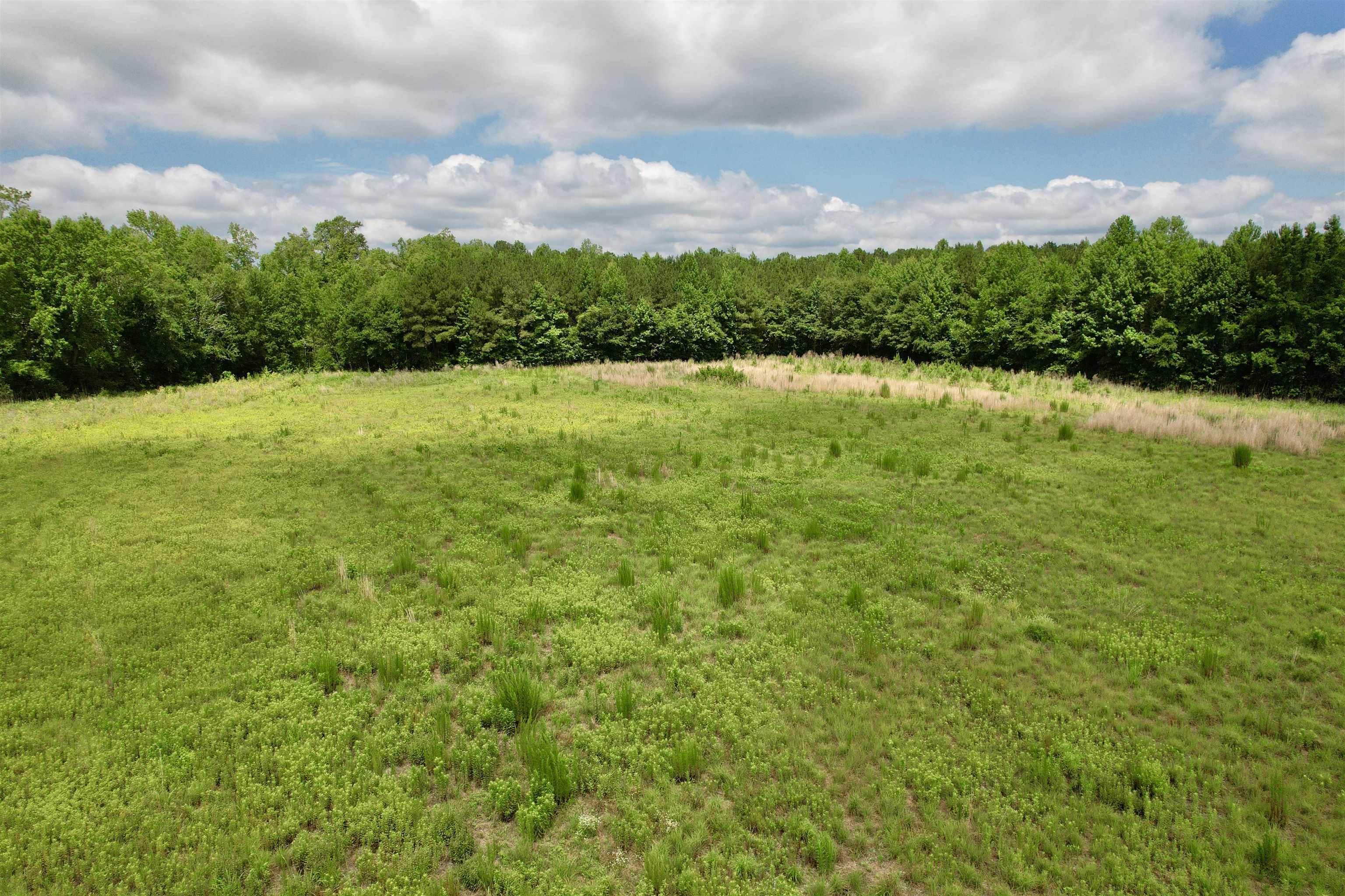 0 Powell Rd Green Green Sea, SC 29545 - Photo 63 of 72