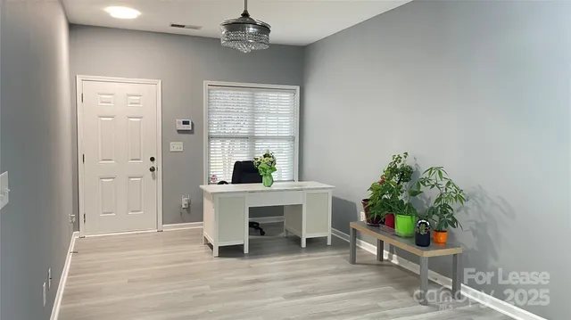 a living room with furniture and a potted plant