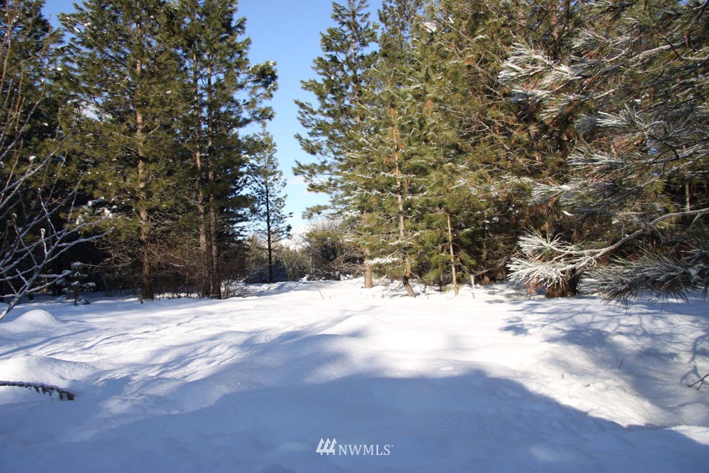 7 Methow Ranch Road Winthrop, WA 98862 - Photo 22 of 25 Gallery Image 22