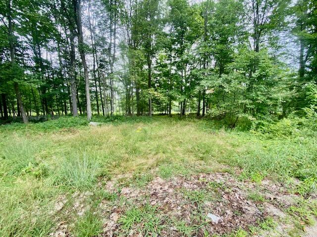 3.86-ac Mudgett Road Parsonsfield, ME 04047 - Photo 2 of 10 IMG_8508