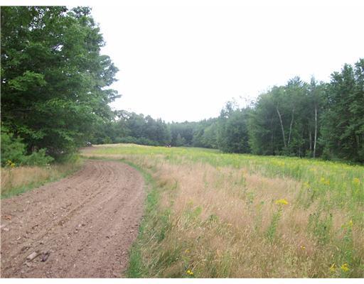 46 Center Road Livermore, ME 04253 - Photo 9 of 10 Yard/Garden.