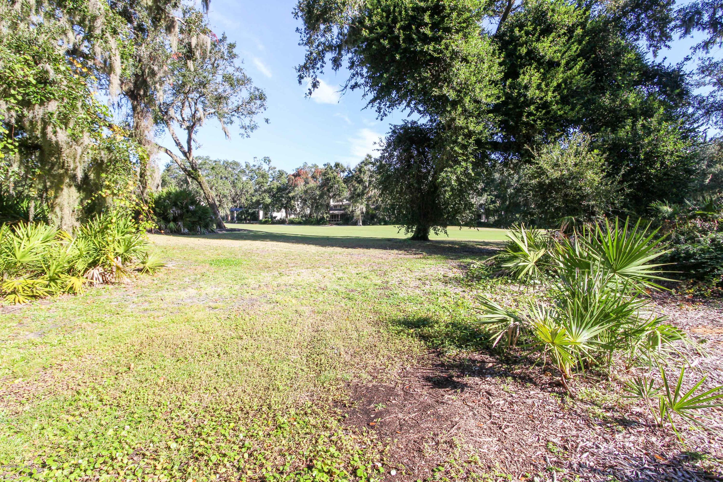 10 Marsh Hawk (39)
