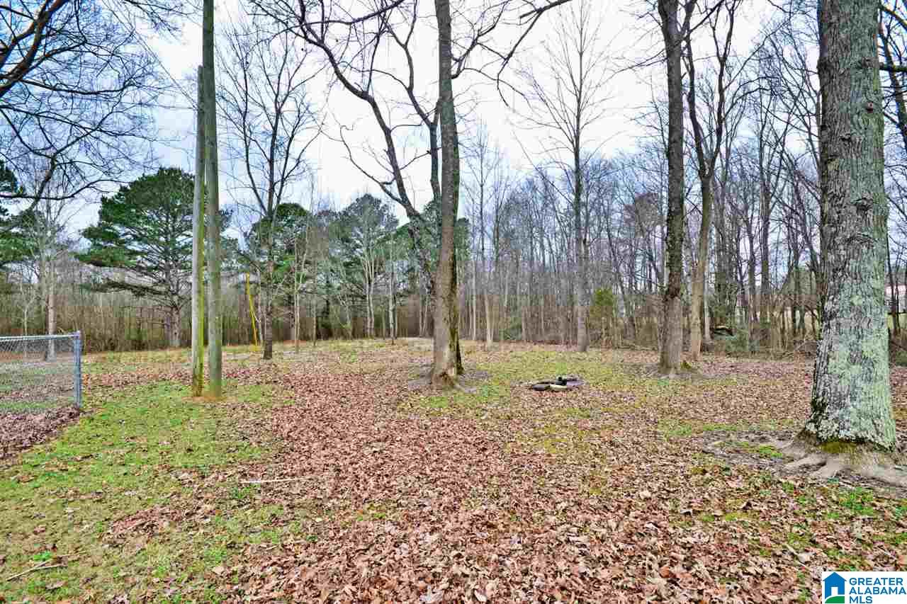 853 Pine Ridge Road Union Grove, AL 35175 - Photo 14 of 28
